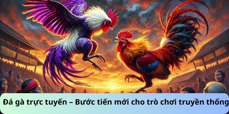 Đá gà trực tuyến- Bước tuyến mới khi chơi truyền thống