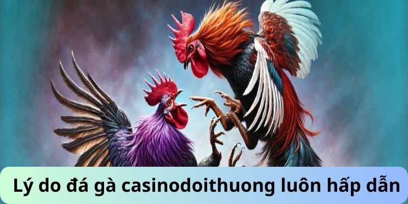 Lý do đá gà casinodoithuong luôn hấp dẫn